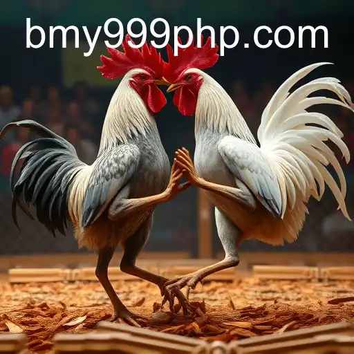 The Fascination of Sabong Games: Exploring the World of Bmy999